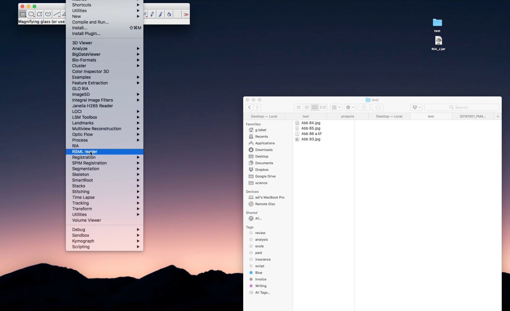 Simple Root Image Analysis In Imagej Ria